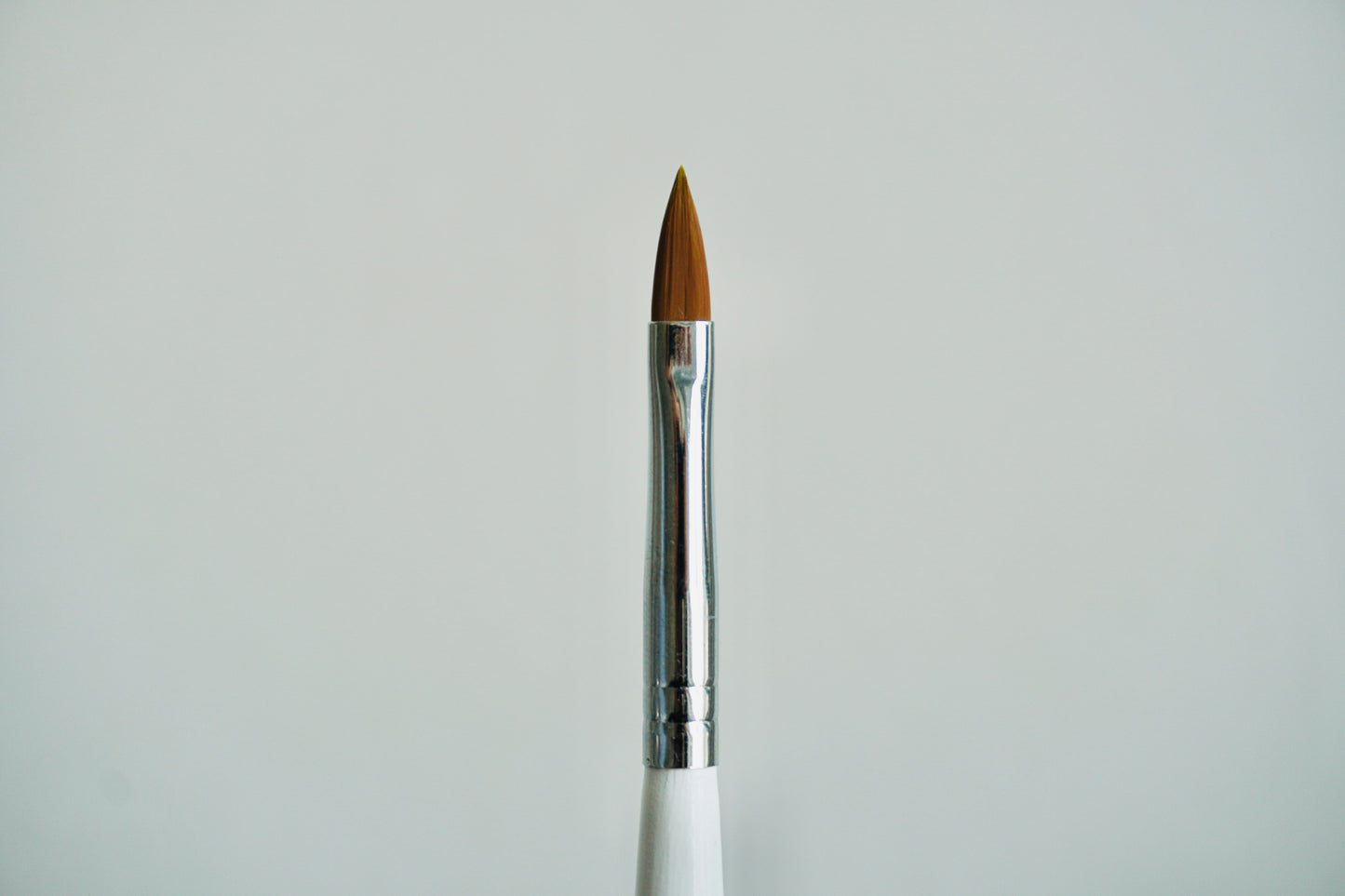 BROW LIFT APPLICATION BRUSH